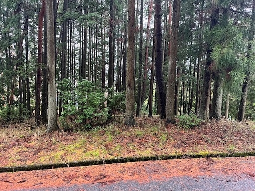 宍粟市一宮町東河内 売土地外観写真