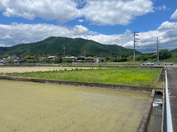 姫路市安富町安志 売土地その他写真