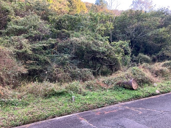 姫路市夢前町護持 売土地その他写真