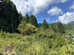 宍粟市一宮町河原田売土地|(宍粟市一宮町河原田)の売土地その他写真4