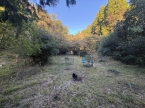 佐用郡佐用町才金中古戸建|(佐用郡佐用町才金)の中古一戸建その他写真13