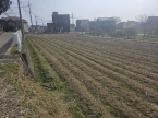 神崎郡福崎町西田原売土地｜（神崎郡福崎町西田原）の売土地その他写真1